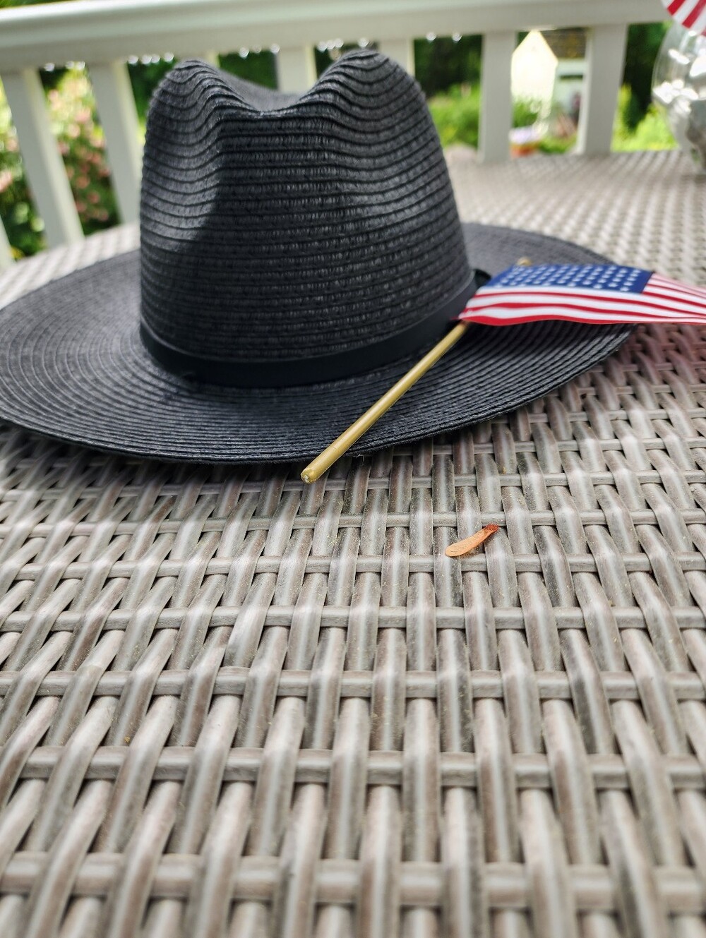 New Old Navy Black Straw Fedora Hat with Ribbon Trim